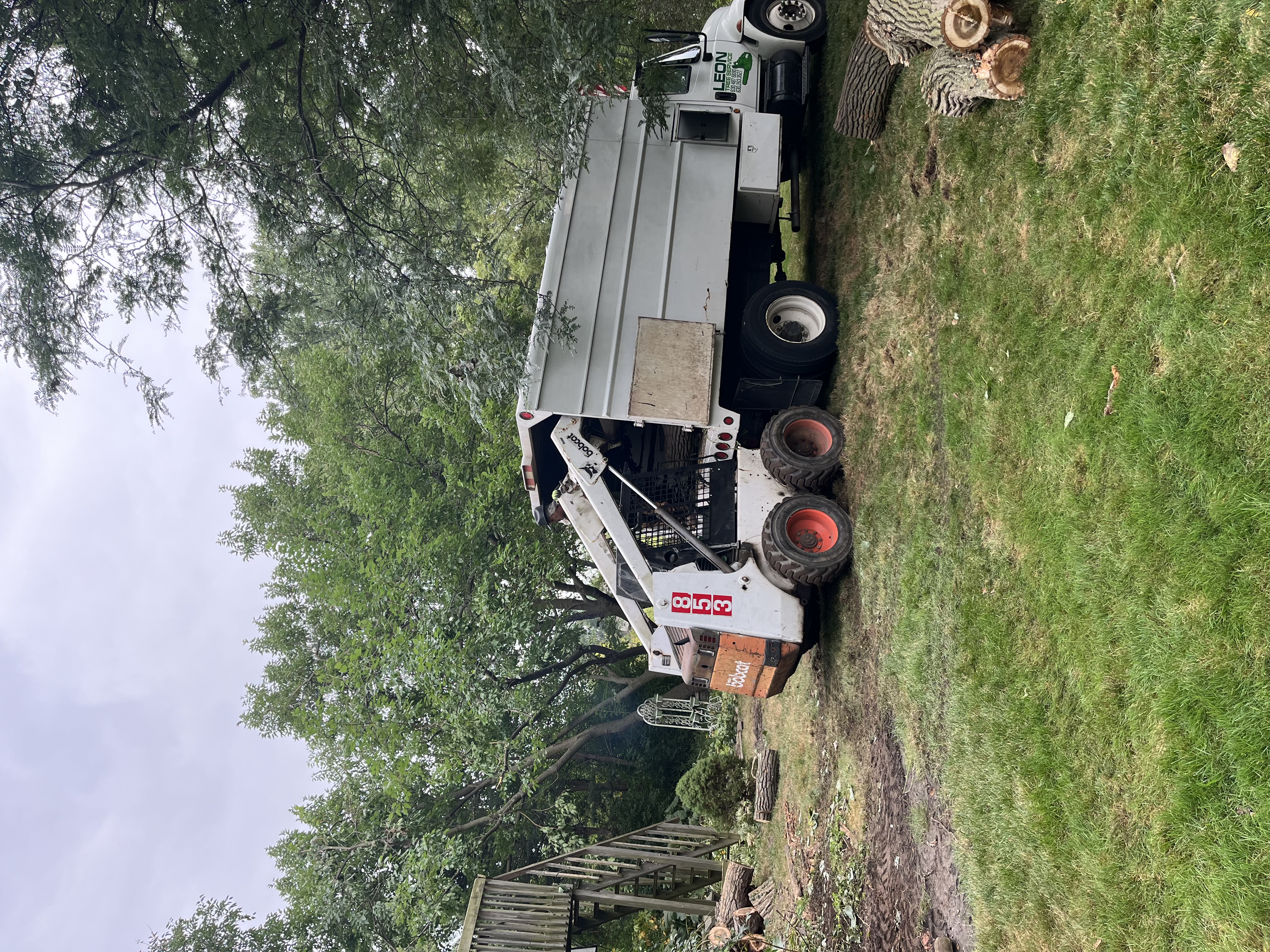 Crane equipment used for tree removal