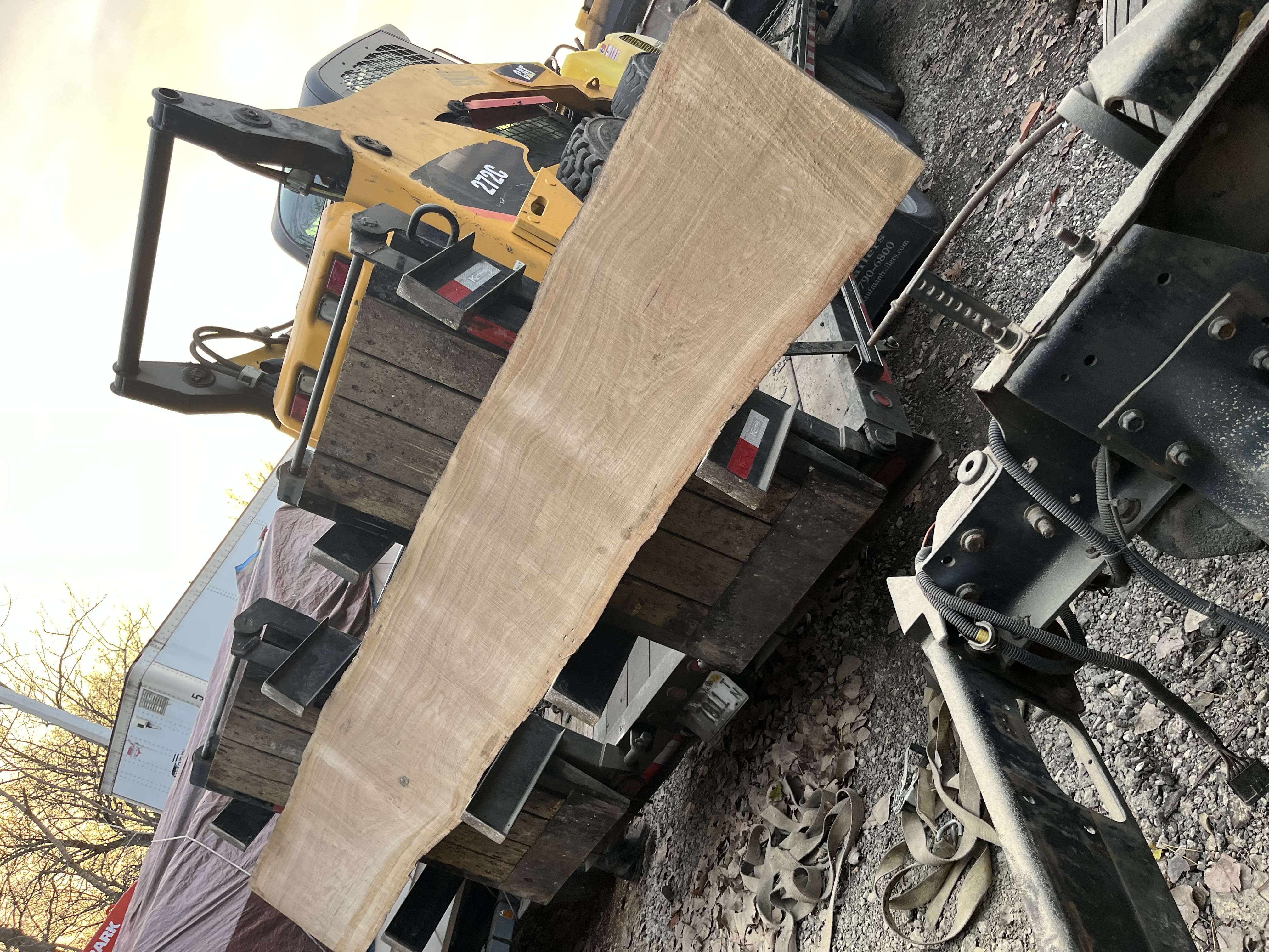 Large tree removal - felled trunk on lawn