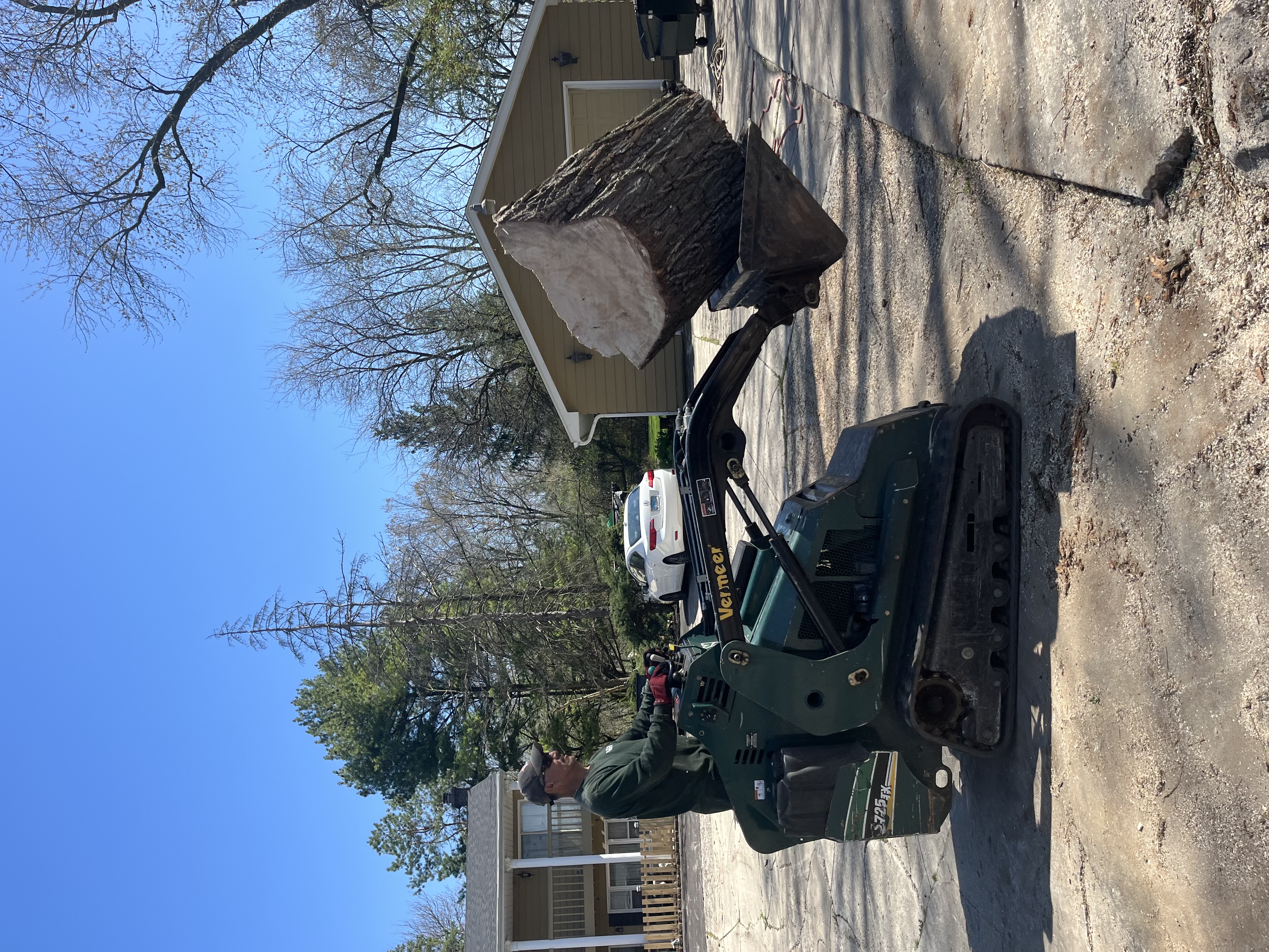Arborist cutting large branch high in tree canopy